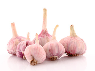 Garlic isolated on white
