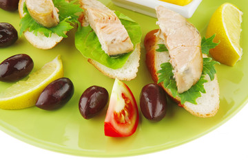 sandwich with salmon chunks