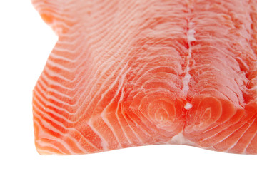 raw salmon fillet
