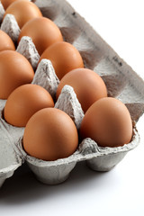 One Dozen Brown Eggs in an Egg Carton