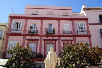 Rosa a Cadiz