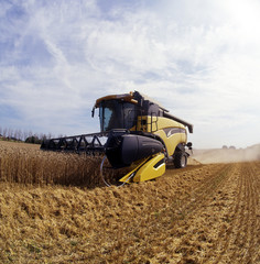harvesting combine in the field