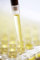 Test tubes and pipette