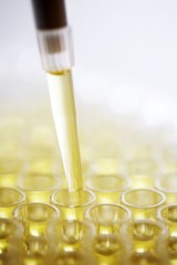 Test tubes and pipette