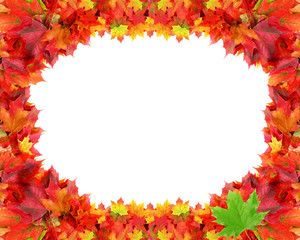 Circular frame from autumn maple foliage