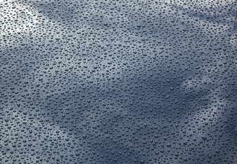 raindrops on car hood