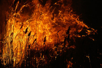 Fire on the field