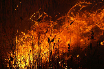 Fire on the field