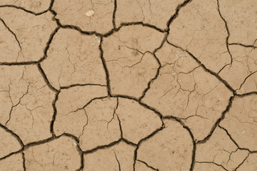 Cracks on ground induced by dry weather