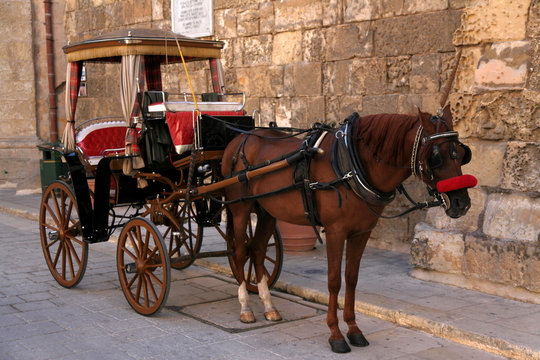 Maltese Karrozzin