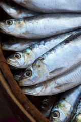 Fresh salt water Sardines stacked on top of each other