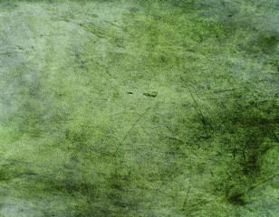 spare scrape cover pelt