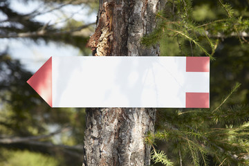 Blank direction sign, mountain path