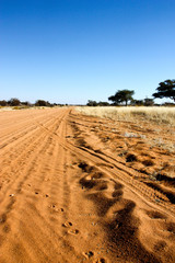 Fototapeta na wymiar Gravel road in Namibia on our way to Soussuvlei
