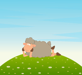 Vector landscape background with cartoon sheep