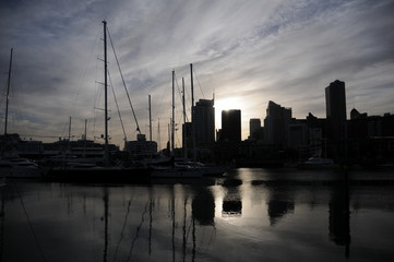 Fototapeta premium auckland