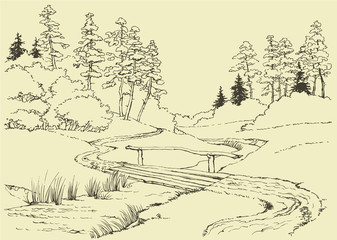 Fototapeta premium Forest landscape with stream