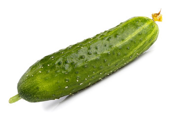 Green cucumber