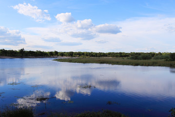 reflet de nuages dans une rivière africaine