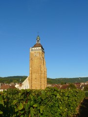 Fototapeta premium Arbois