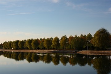 bäume mit spiegelbild