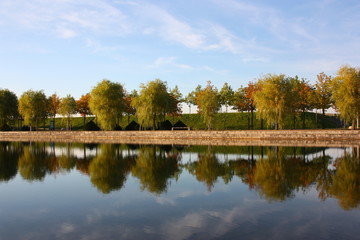 bäume mit spiegelbild