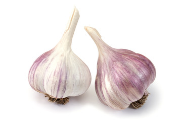 Garlic on a white background