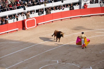 Printed kitchen splashbacks Bullfighting Corrida - Arènes - Matador - Toréador - Espagne
