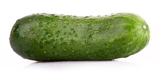 Cucumber isolated on white