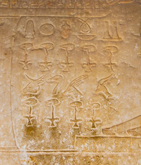 egyptian hieroglyphics from saqqarah, cairo