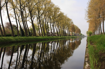 Bruges canal tree reflection