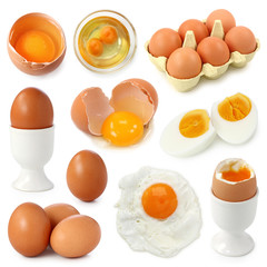 Egg collection
