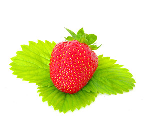 juicy strawberry