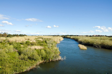 The colors of Spring in Sardinia