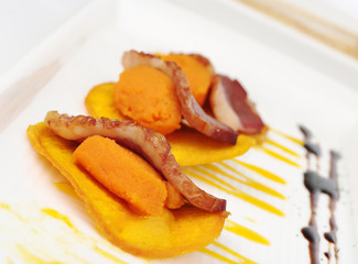 Duck meat on sweet potato puree and chip (Selective Focus)