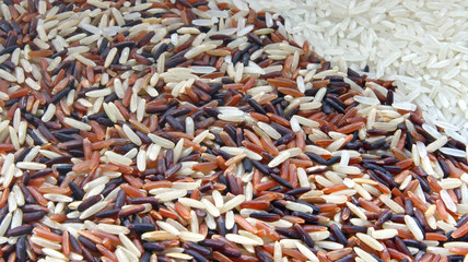 Thai Red Jasmine and White Jasmine rice, Background