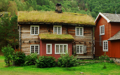 Fototapeta na wymiar The roof of an old house covered by grass in Norway