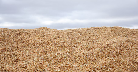 L'accumulo del grano