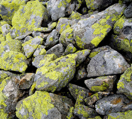 omszały kamień
