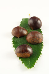 Castagne