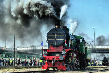 locomotion © Radoslaw Maciejewski