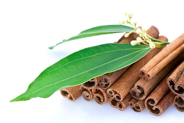 Bâtonnets et tige de cannelle
