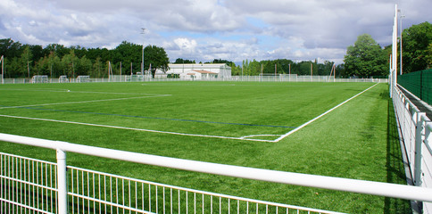 pelouse synthétique