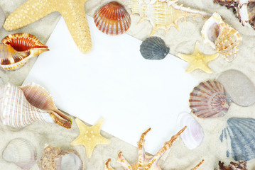 shells on postcard