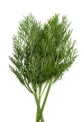 parsley