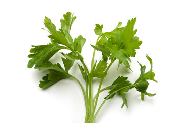 green parsley