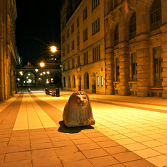 Naklejka premium Rue à Stockholm de nuit