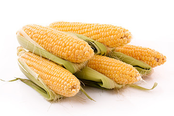 Few corn isolated on white