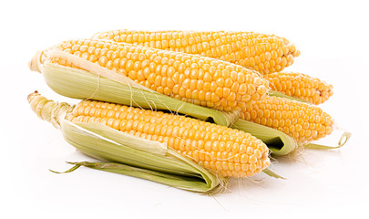 Few corn isolated on white