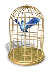Crédence de cuisine en verre imprimé Oiseaux en cages Oiseau bleu
